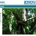 Marcelo Moryan Galeria Imprensa 079