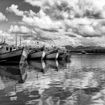 Marcelo Moryan Galeria Preto E Branco 049