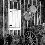 Marcelo Moryan Galeria Preto E Branco 066