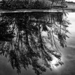 Marcelo Moryan Galeria Preto E Branco 069