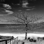 Marcelo Moryan Galeria Preto E Branco 094