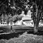 Marcelo Moryan Galeria Preto E Branco 101