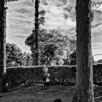 Marcelo Moryan Galeria Preto E Branco 103