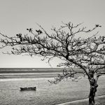 Marcelo Moryan Galeria Preto E Branco 111