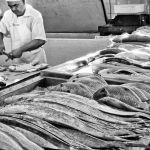 Marcelo Moryan Galeria Preto E Branco 114