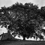 Marcelo Moryan Galeria Preto E Branco 115