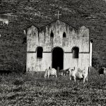 Marcelo Moryan Galeria Preto E Branco 118